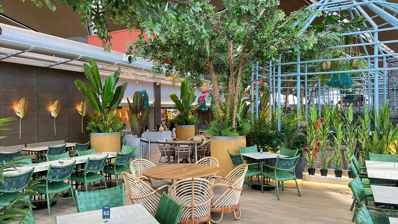 A garden with lots of high plants inside a restaurant.