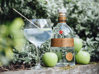 Caorunn Gin Master's Cut bottle - World Duty Free UK - Dufry