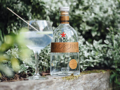 Caorunn Gin Master's Cut image - World Duty Free UK - Dufry