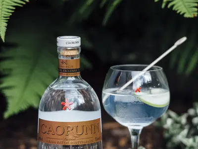 Caorunn Gin Master's Cut perfect serve gin and tonic - World Duty Free UK - Dufry