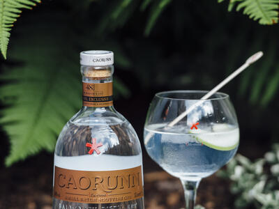Caorunn Gin Master's Cut perfect serve gin and tonic - World Duty Free UK - Dufry
